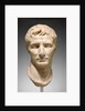 Portrait Head of Augustus by Anonymous