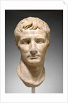 Portrait Head of Augustus by Anonymous