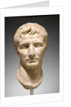 Portrait Head of Augustus by Anonymous