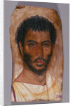Mummy Portrait of a Bearded Man by Anonymous