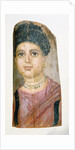 Mummy Portrait by Malibu Painter