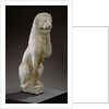 Funerary Lion by Anonymous
