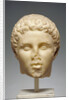 Portrait of Hephaistion by Anonymous