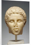 Portrait of Hephaistion by Anonymous
