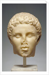 Portrait of Hephaistion by Anonymous