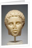 Portrait of Hephaistion by Anonymous