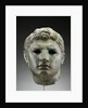 Portrait of a Man by Anonymous