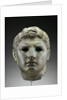 Portrait of a Man by Anonymous