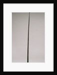 Candelabrum by Anonymous