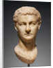 Portrait Head of Caligula by Anonymous