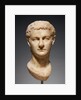 Portrait Head of Caligula by Anonymous