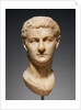 Portrait Head of Caligula by Anonymous