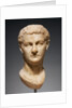 Portrait Head of Caligula by Anonymous