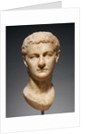 Portrait Head of Caligula by Anonymous