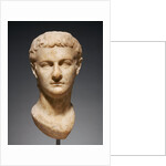 Portrait Head of Caligula by Anonymous