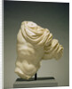 Torso of Actaeon by Anonymous