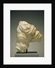 Torso of Actaeon by Anonymous