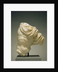Torso of Actaeon by Anonymous