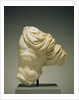 Torso of Actaeon by Anonymous