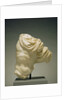 Torso of Actaeon by Anonymous