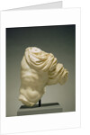 Torso of Actaeon by Anonymous