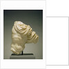 Torso of Actaeon by Anonymous