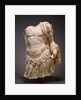 Torso of a Cuirassed Statue by Anonymous