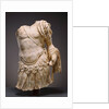 Torso of a Cuirassed Statue by Anonymous