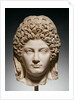 Portrait Head of Julia Titi by Anonymous