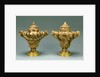 Pair of Lidded Vases by Anonymous