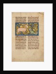 A Stag before a Dragon-like Snake by Anonymous