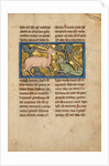 A Stag before a Dragon-like Snake by Anonymous