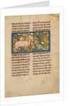 A Stag before a Dragon-like Snake by Anonymous