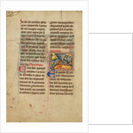 A Salamander by Anonymous