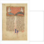 A Siren and a Centaur by Anonymous