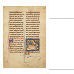 A Hedgehog by Anonymous