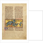 A Pelican Feeding her Young by Anonymous