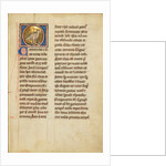 A Quail by Anonymous