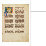 A Hoopoe by Anonymous