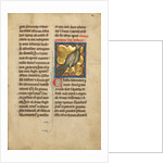 A Peacock by Anonymous