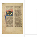 A Blackbird by Anonymous