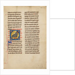 A Vulture by Anonymous