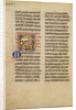 A Kite (Bird) by Anonymous