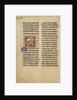 A Kite (Bird) by Anonymous