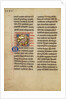 A Kite (Bird) by Anonymous