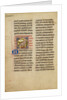 A Kite (Bird) by Anonymous