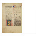 A Stork by Anonymous