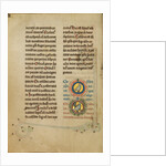 Two Medallions with Doves by Anonymous