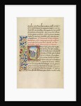 Initial Q: Bishop Theophilus Beholding the Stars which Will Lead Him to the Tomb of Saint Anthony by Master of the Brussels Romuléon