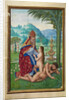 Scenes from the Creation by Simon Bening
